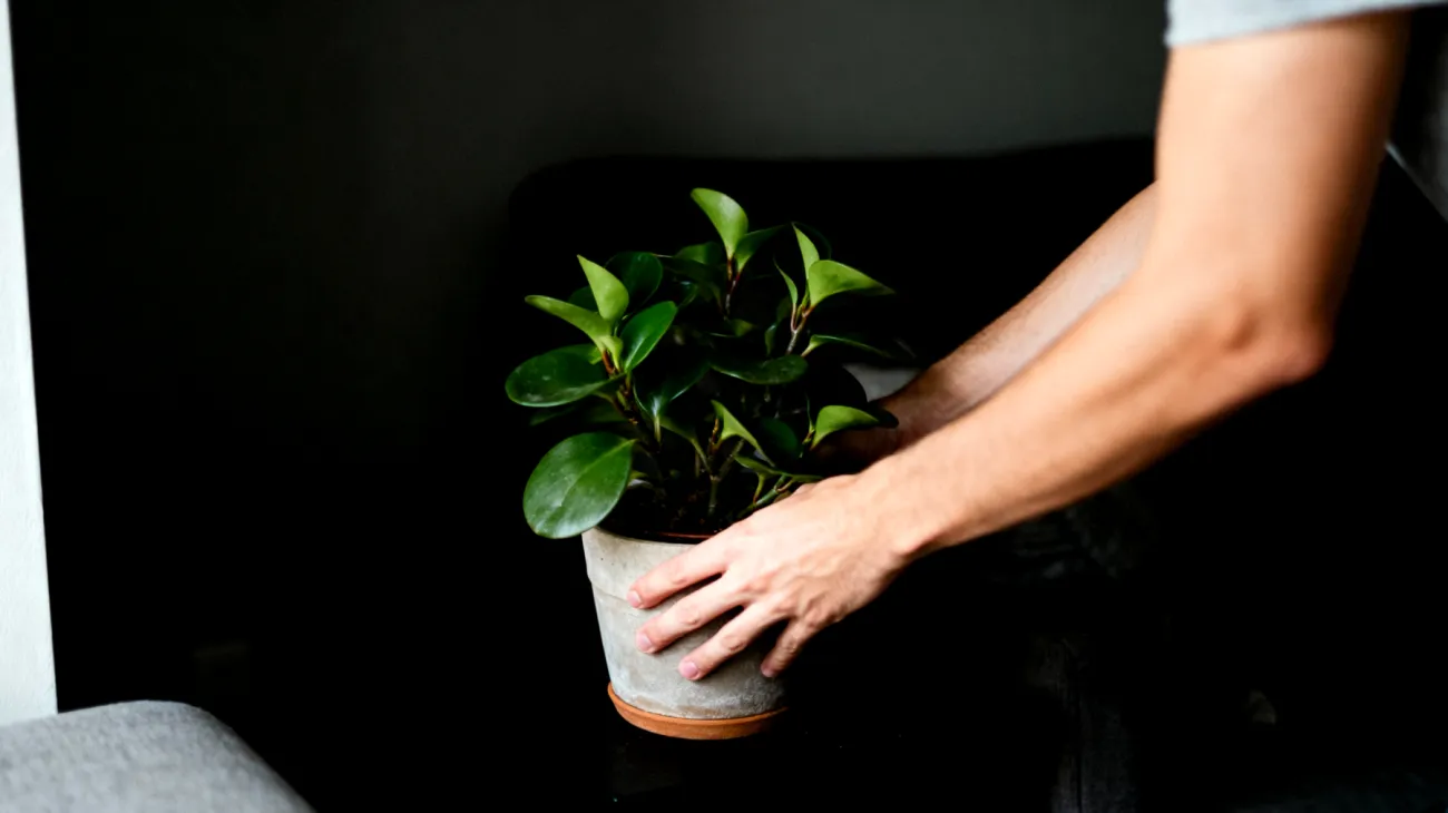 Dekorative Blumentopfhalter"